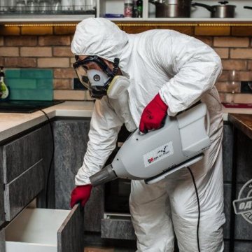 Проблема муравьев