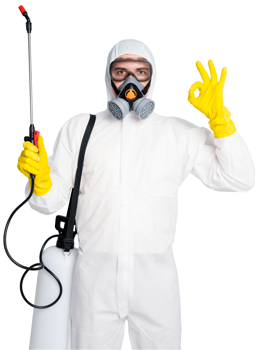 Процесс дезинфекции